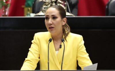 Reforma para que investigaciones sobre negligencia médica se realicen con precisión, propone Diputada del PAN.