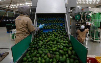Se eleva actividad económica de México un 2.3% interanual en abril