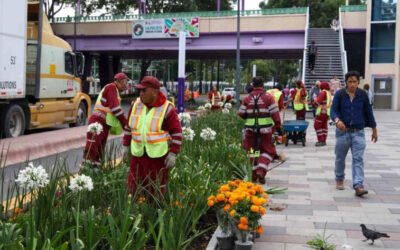 Gobierno de la CDMX coloca flores de cempasúchil sobre Calzada de Tlalpan