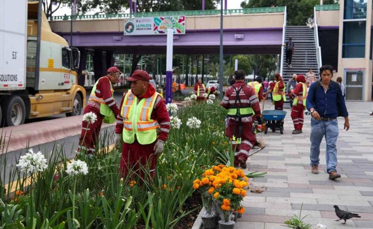 Gobierno de la CDMX coloca flores de cempasúchil sobre Calzada de Tlalpan