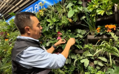 Colocan muros verdes en 8 estaciones de la Línea 2 del Metro