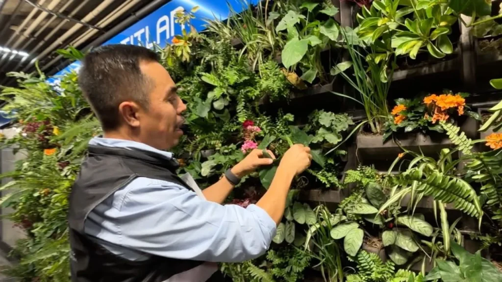 Colocan muros verdes en 8 estaciones de la Línea 2 del Metro