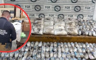 Aseguran más de 145 kilos de metanfetamina en paquetería de Hermosillo