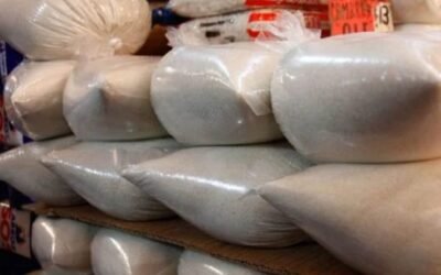 Apuesta sector azucarero por una industria de biocombustibles