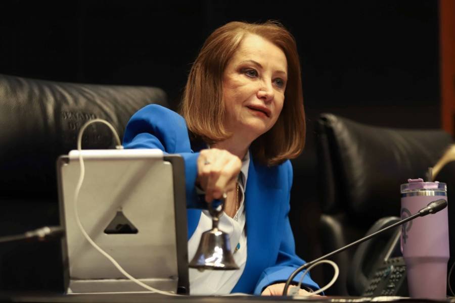 Iniciativa de la presidenta del Senado para sancionar a quien interrumpa a un orador en las sesiones.