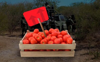 OCDE: crimen impulsa el alza de precios de alimentos y reduce ganancias de empresas