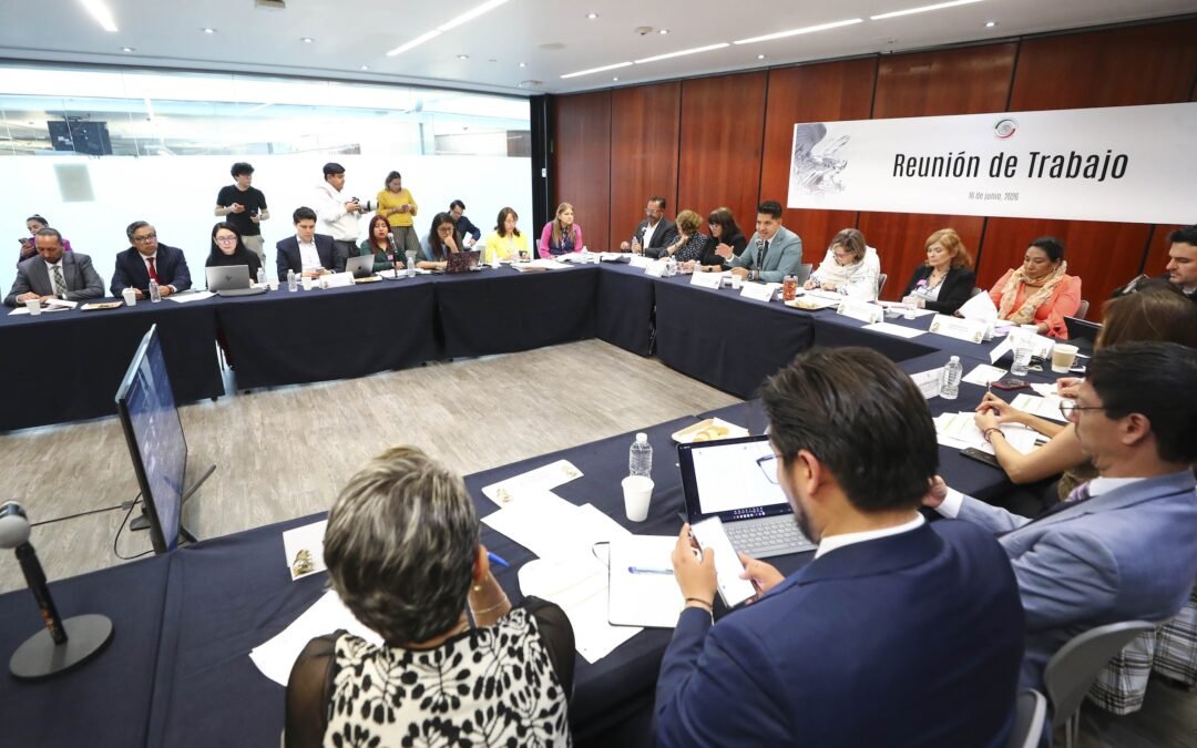 Revisan alcances de iniciativa para reconocer de manera expresa los derechos sexuales y reproductivos
