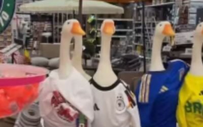 Fiebre por el pato Merlín llega a Canadá con venta de figuras mundialistas