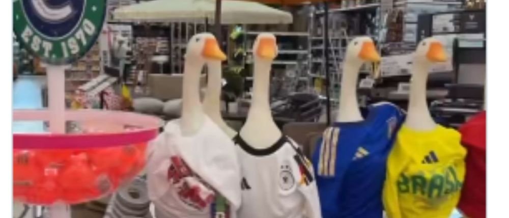 Fiebre por el pato Merlín llega a Canadá con venta de figuras mundialistas