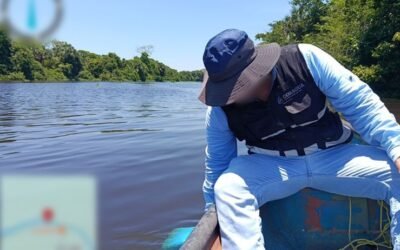 Investigan mortandad de peces en río de Veracruz
