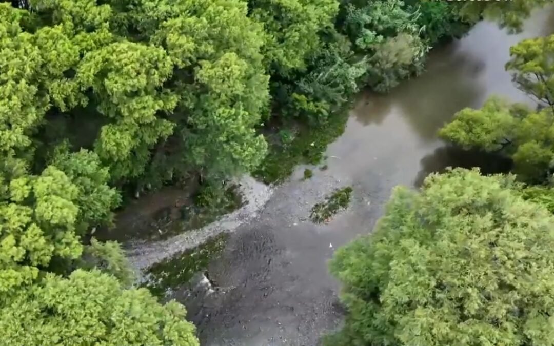 Lluvias en NL: hallan muerta a mujer arrastrada por la corriente del río La Silla
