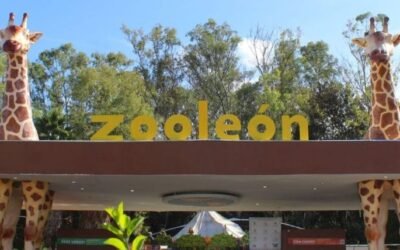 Detectan dos casos de gusano barrenador en el Zoológico de León, Guanajuato