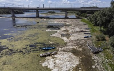 Afectó $1,540 mdd. la ola de calor en Junio a la economía inglesa.