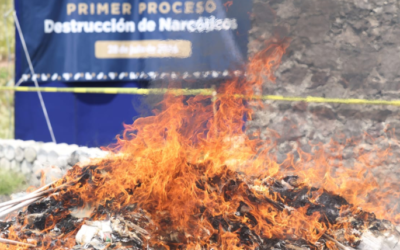 Fiscalía incinera 71 mil dosis de droga de 600 investigaciones