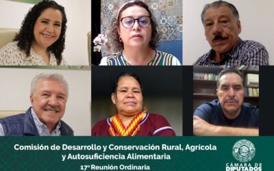 Aprueban en Comisión reformas que fortalecen la igualdad sustantiva en los derechos agrarios de mujeres