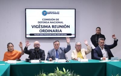 Aprobó la Comisión de Defensa Nacional dictamen en sentido negativo a iniciativa sobre artificios pirotécnicos