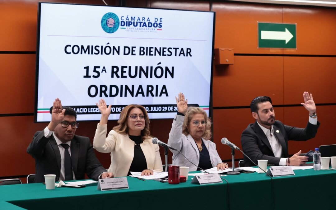 Desechan Diputados Iniciativa sobre Ingreso, Canasta Básica y apoyos a discapacitados.