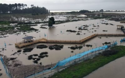 Más de medio millón de personas quedan sin luz en Chile por fuerte temporal