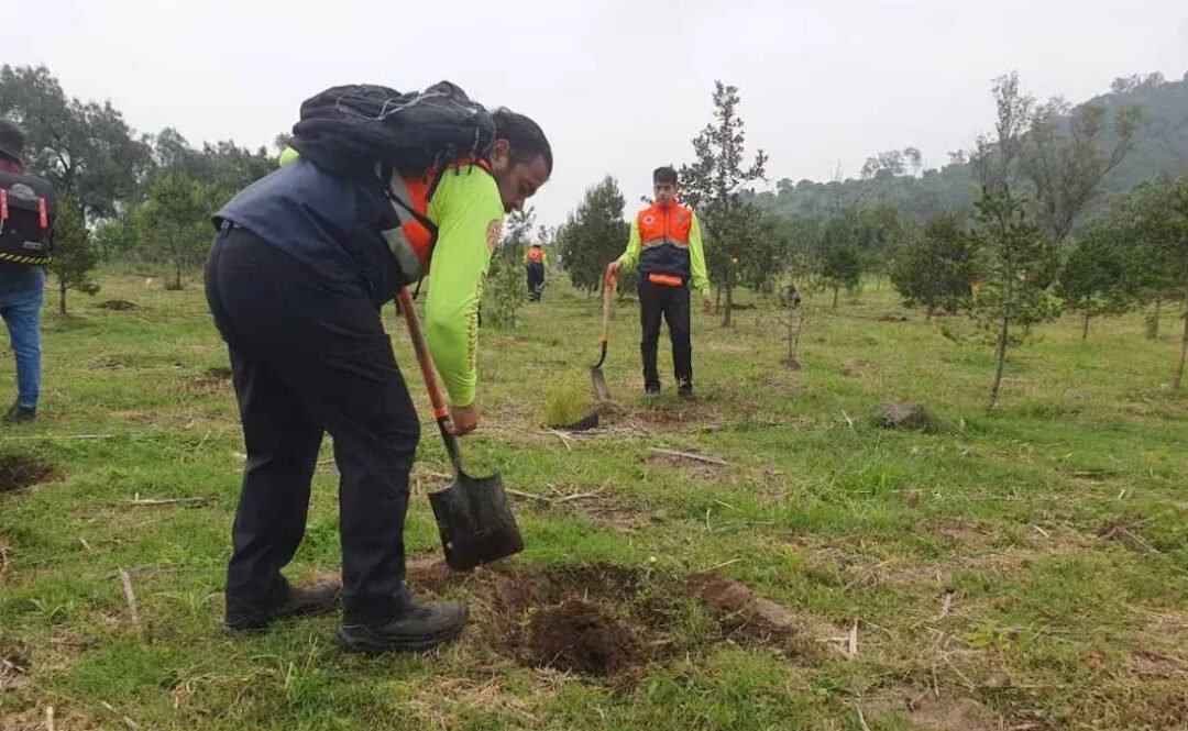 Reforestarán con más de 20 mil árboles área protegida en Iztapalapa