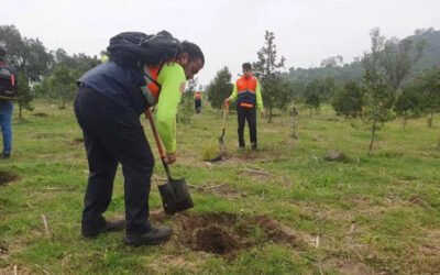 Reforestarán con más de 20 mil árboles área protegida en Iztapalapa
