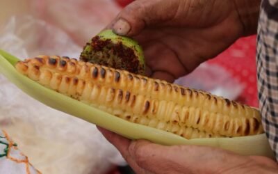 Tláhuac alista la Feria del Elote y la Tortilla 2026 con gastronomía, cultura y tradición