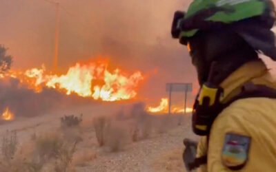 España combate uno de los mayores incendios del país durante ola de calor en el Mediterráneo; afectadas más de 32 mil hectáreas