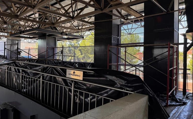 Aceleran conexión del Jardín Flotante con Metro Chabacano