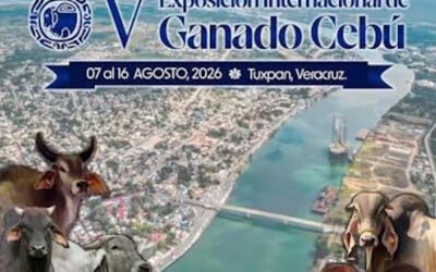 En Tuxpan, Ver. manda la Mafia Veracruzana.