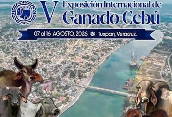 En Tuxpan, Ver. manda la Mafia Veracruzana.