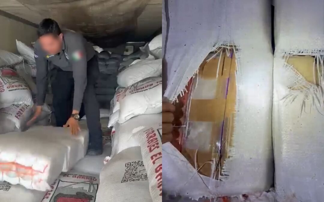 Aseguran más de tres toneladas de metanfetamina en Sonora