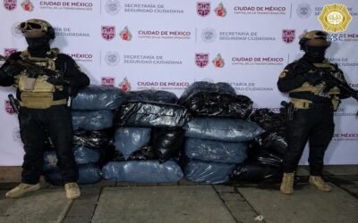 Aseguran media tonelada de aparente marihuana durante cateo en la GAM