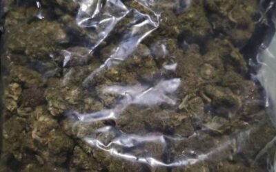 SSC asegura 54 kilos de marihuana en operativo en Venustiano Carranza