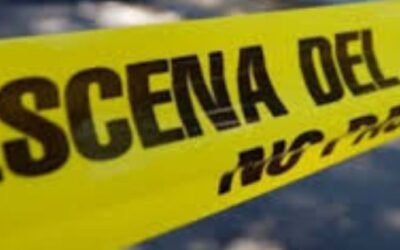 Detienen a sujeto por matar a palazos a un perro callejero en la colonia Morelos