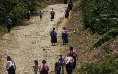 Acusan comunidades indígenas en Chiapas persecución y despojo por megaproyectos