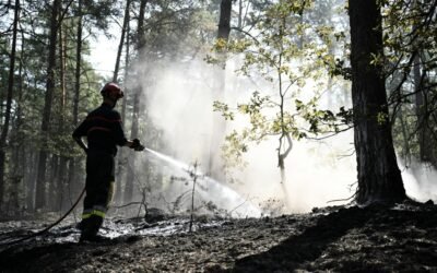 Macron promete «tolerancia cero» contra los pirómanos tras la ola de incendios en Francia