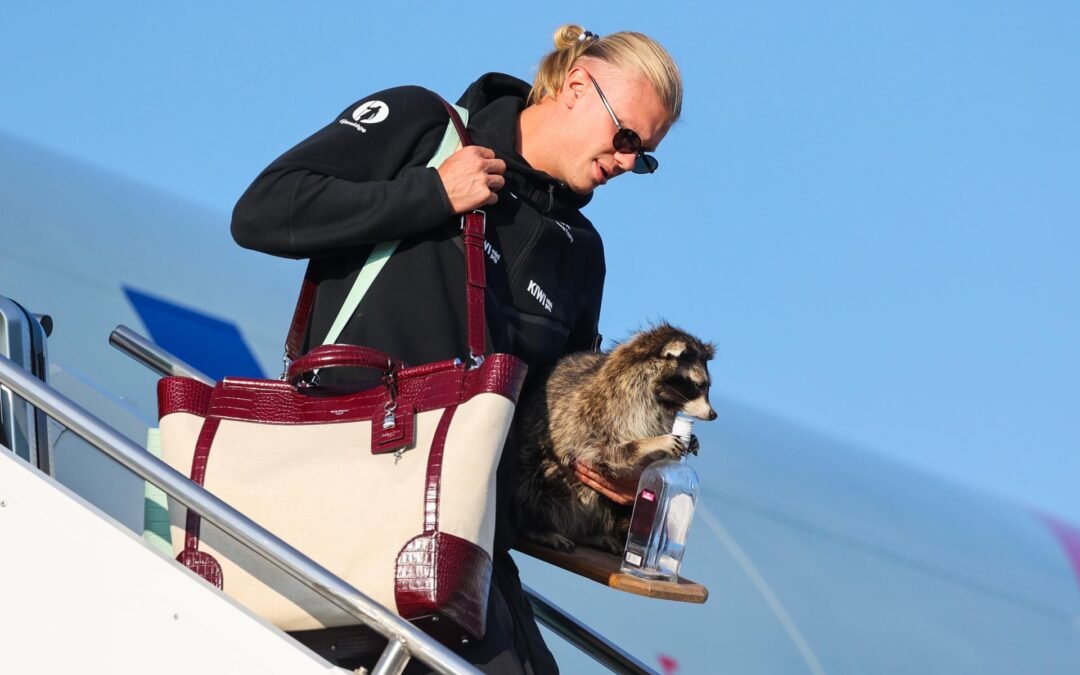 Erling Haaland llega a Noruega acompañado de un mapache
