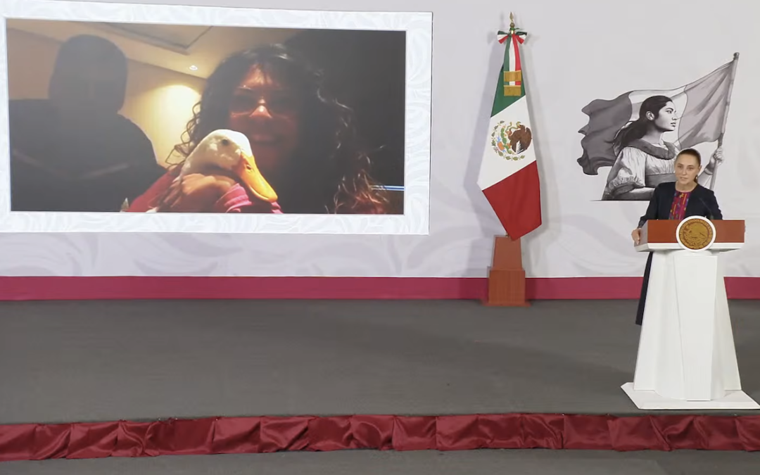 Familia del Pato ‘Merlín’ recibe hogar del INVI tras vivir en un local de la CDMX