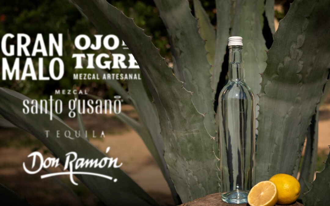 De Luis Miguel a Luisito Comunica: los famosos que hacen negocio con tequila y mezcal