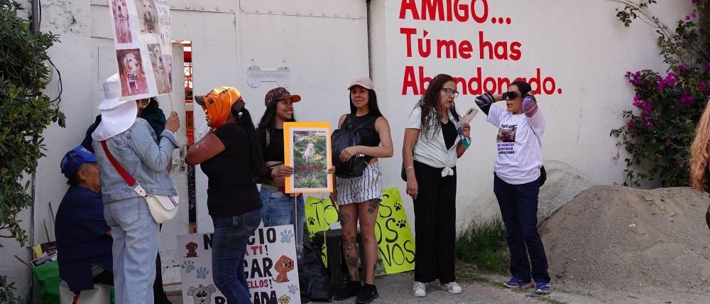 Fallo definitivo a favor de la Fundación Haghenbeck
