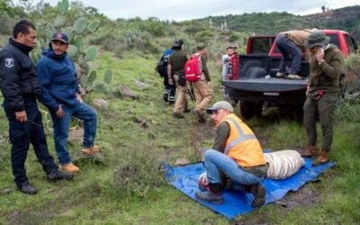 Defiende Profepa operativo tras muerte de tigre “Kenzo” en Edomex
