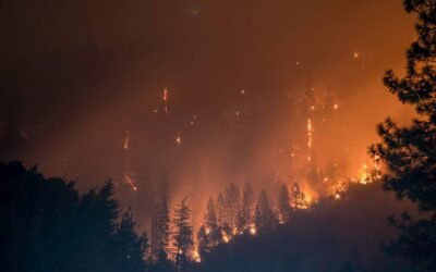 México despliega en Canadá más de 100 efectivos para ayudar en lucha contra los incendios