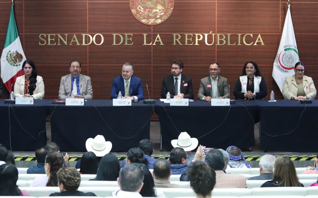 Analizan en el Senado problemática de los municipios para el desarrollo sostenible de México