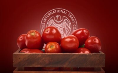 Ratifica Estados Unidos arancel de 17.09% al tomate mexicano; podría darse un aumento