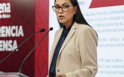 Rechaza Morena injerencia extranjera en proceso contra Ernesto ‘N’
