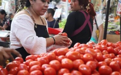 ‘Respiro’ a la economía, inflación desacelera a 3.10% en primera quincena de julio
