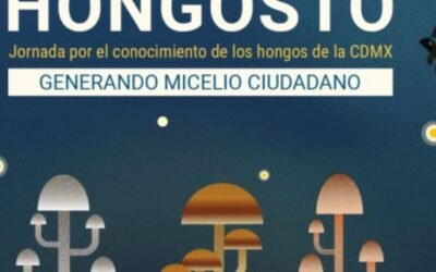 ‘Hongosto 2026’ promoverá la conservación de los hongos de la CDMX con recorridos y talleres