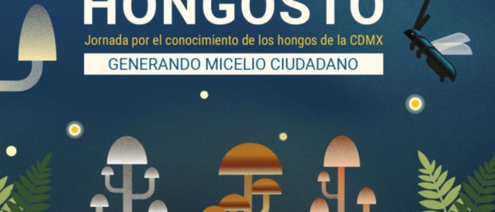 ‘Hongosto 2026’ promoverá la conservación de los hongos de la CDMX con recorridos y talleres
