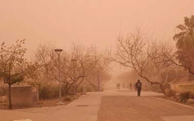 Confirman tormentas de polvo y arena sin precedentes en la frontera de México y EE.UU.