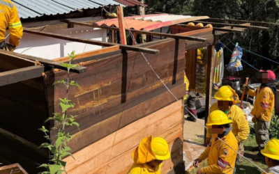 Victoria ambiental en Xochimilco: se recuperan casi 6 hectáreas clave para frenar la urbanización
