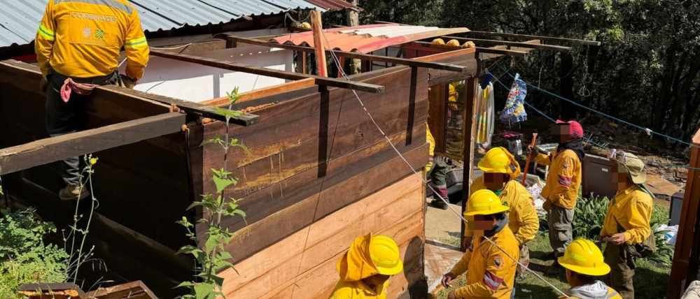 Victoria ambiental en Xochimilco: se recuperan casi 6 hectáreas clave para frenar la urbanización